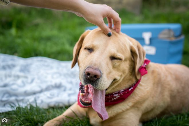 30952746_2437375999622037_67428144_o