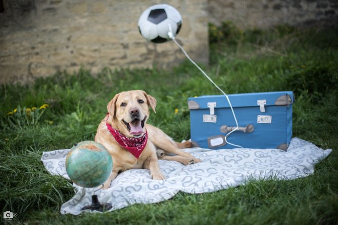 30964203_2437375796288724_1874406313_o