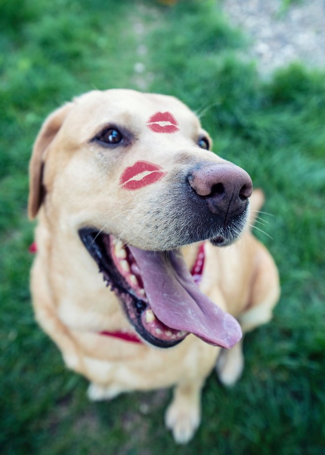 32650012_1656542187733195_1561087502469562368_n