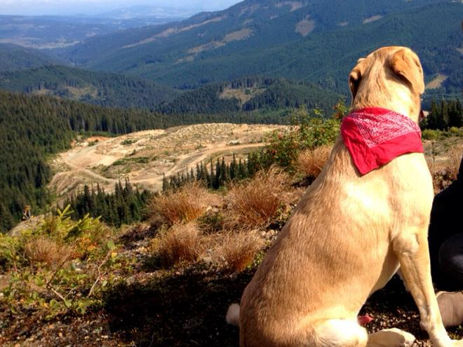 563514_720128014680186_1498585762_n