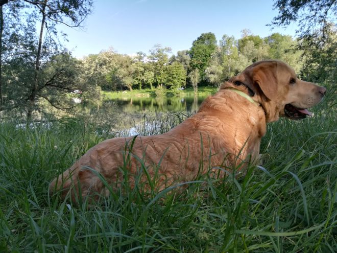 66513764-8093-40d3-a84f-2d0b4aae2b9b